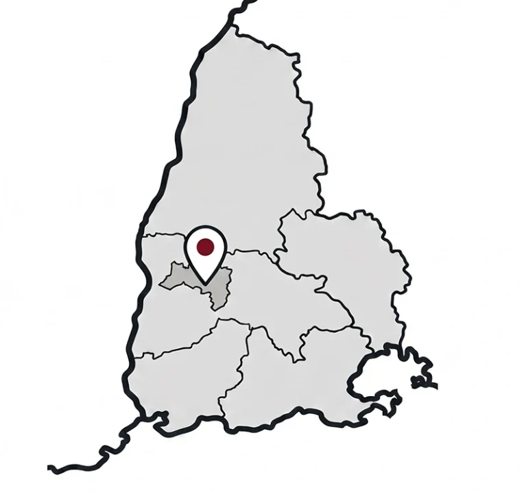 Karte von Südbaden mit den hervorgehobenen Regionen Freiburg, Breisgau-Hochschwarzwald, Lörrach, Waldshut und Emmendingen. Mit dem Zweck der Visualisierung für lokales SEO für Dienstleister in Südbaden.